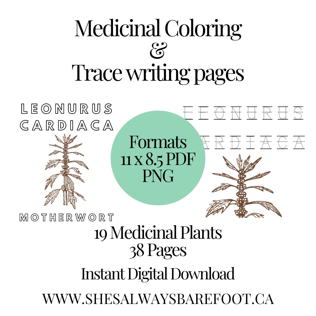 Medicinal Plant Coloring  & Trace Writing Pages