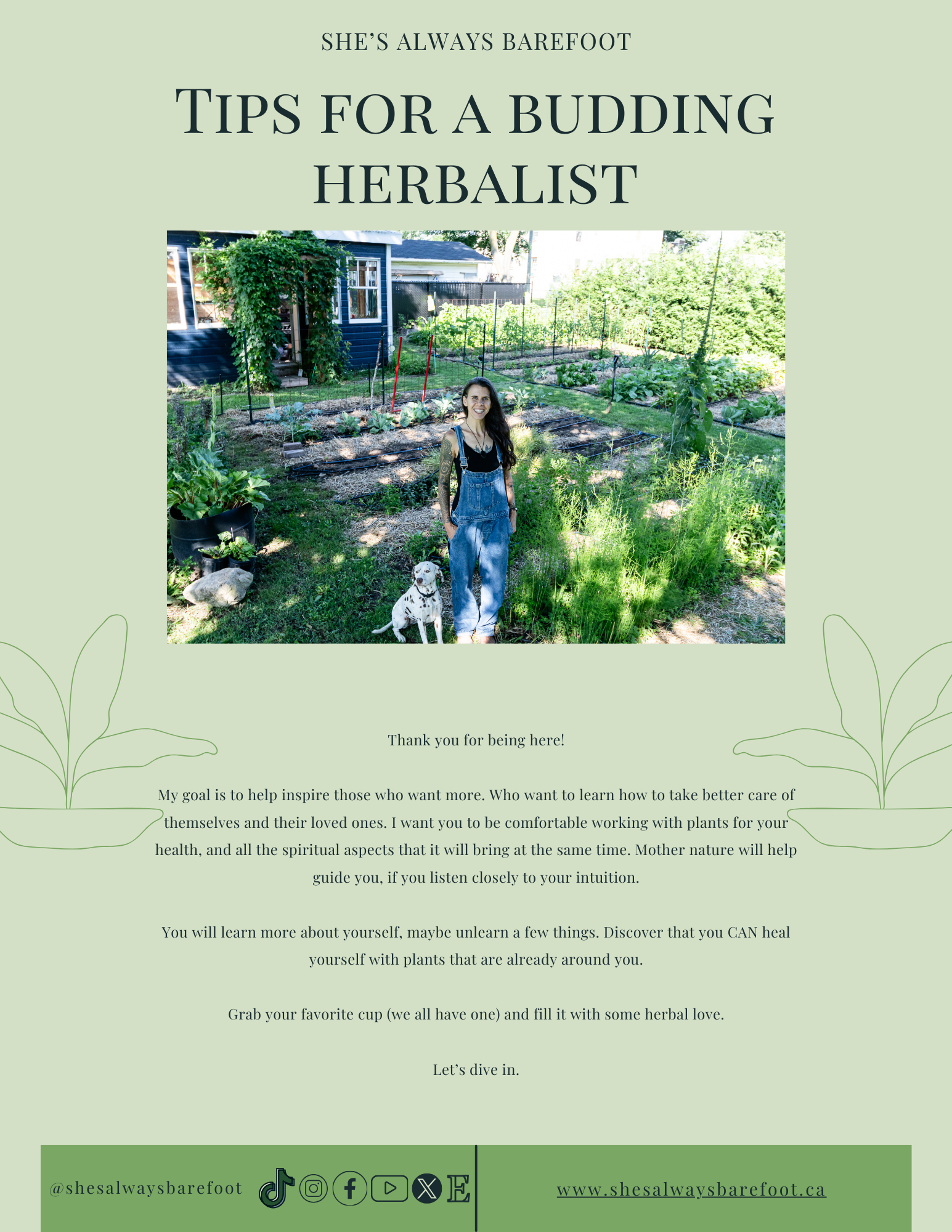 Tips for a budding herbalist -FREE