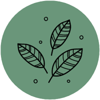Plant monograph icon